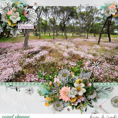 Wild Flowers