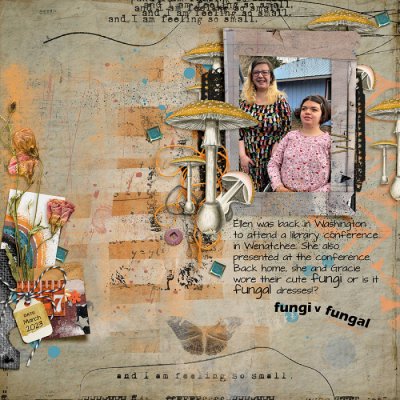2023-FunGi-v-funGal