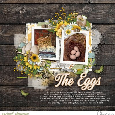 The Eggs
