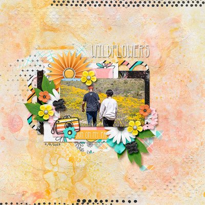 Wildflowers