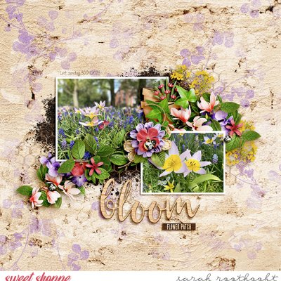 Bloom