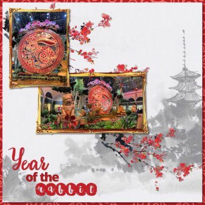 Year of the rabbit 1