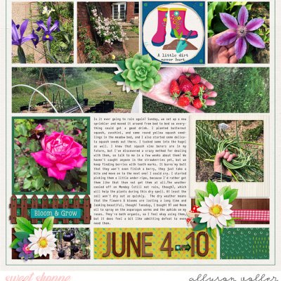 2023 Garden notes week 23 left
