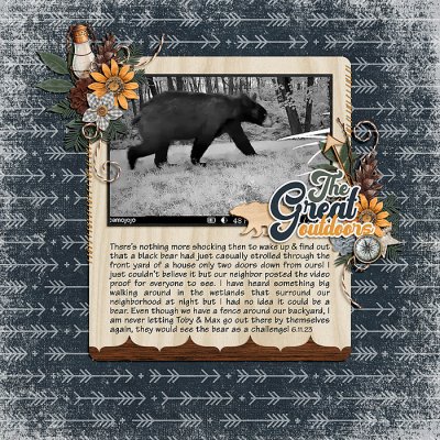 Bear in the Hood