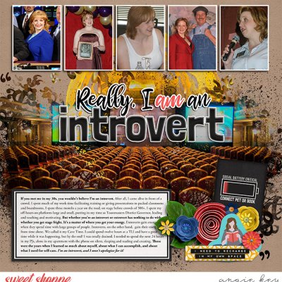 Really, I Am An Introvert