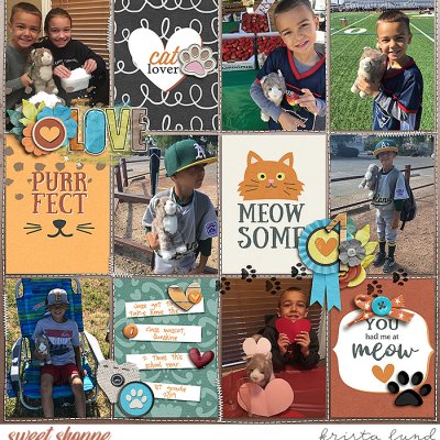 2019 1st Grade Sunshine