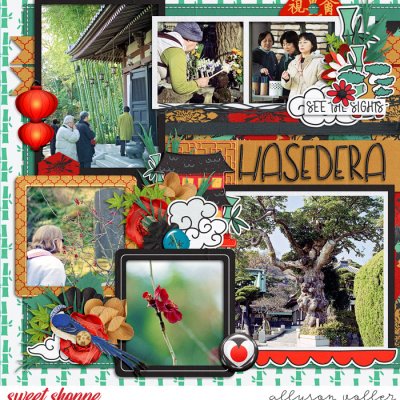 Hasedera left
