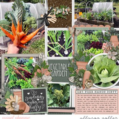 Vegetable Garden