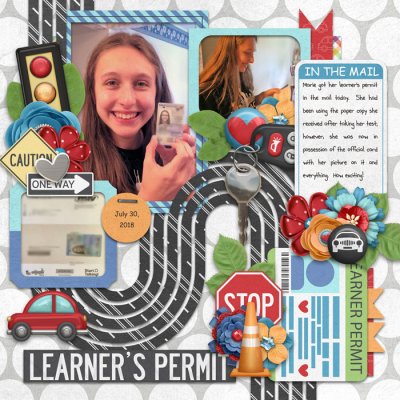 Learner's Permit