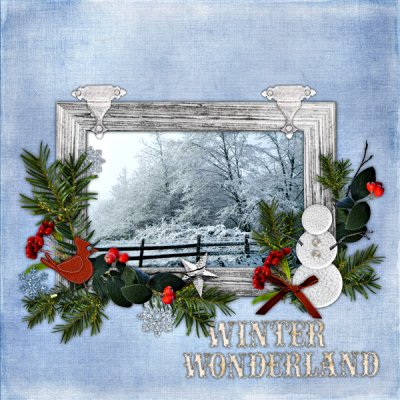 winter wonderland