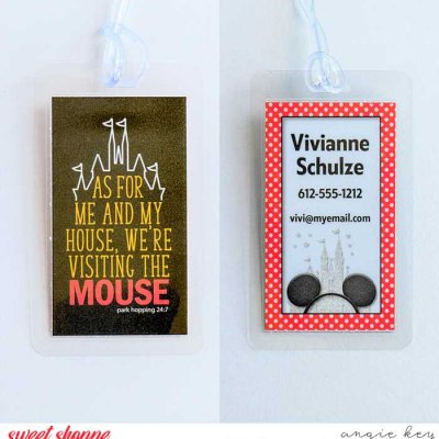 Disney Luggage tag