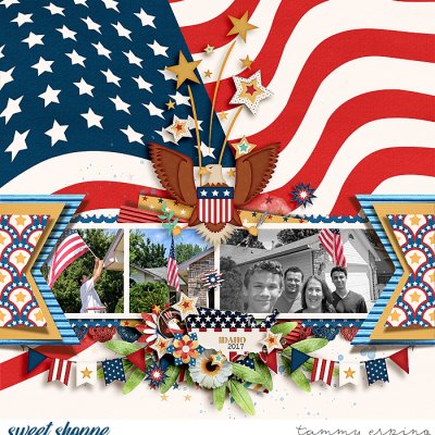 grand old flag