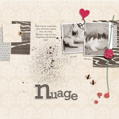Nuage