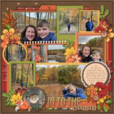 In to the woods