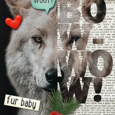 The Wolf Speaks