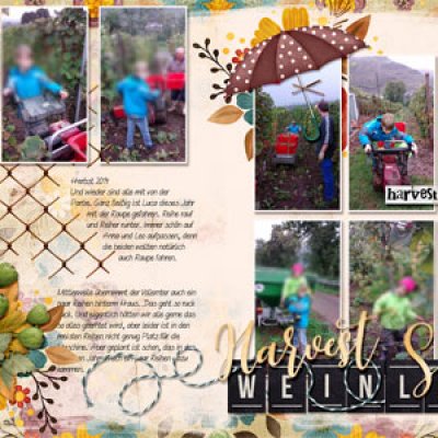 harvest time