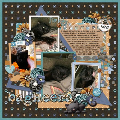Bagheera