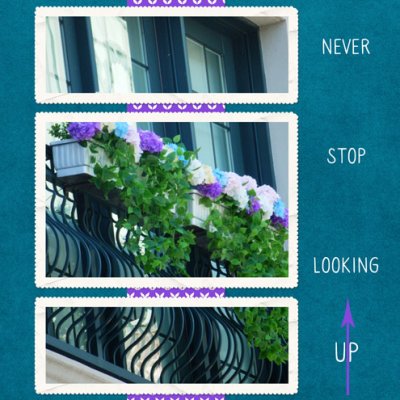 Never Stop Looking Up