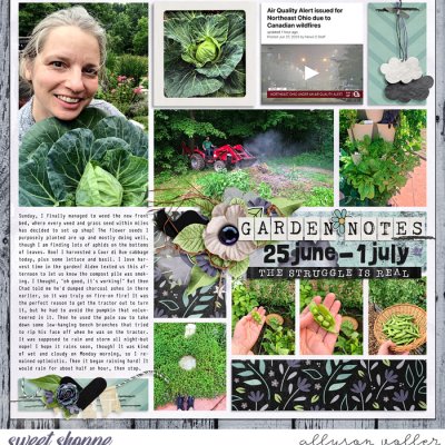 2023 garden notes week 26 left