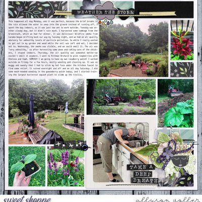 2023 garden notes week 26 right