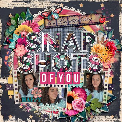 Snapshots