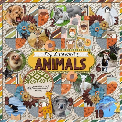 Top 10 Favorite Animals