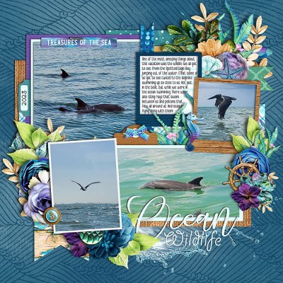 Ocean Wildlife