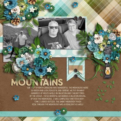 Mountain Vacay