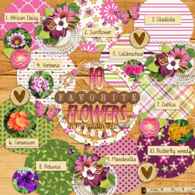 10 Favorite Flowers in my Garden This Year