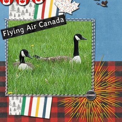 Geese in the Grass