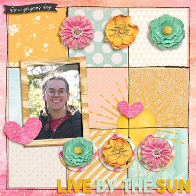 Live By The Sun