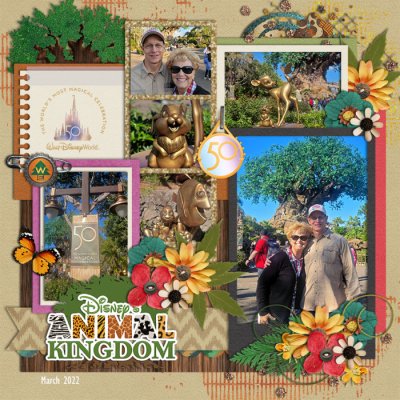 Animal Kingdom 50th Magical Celebration