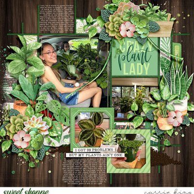 So many plants!