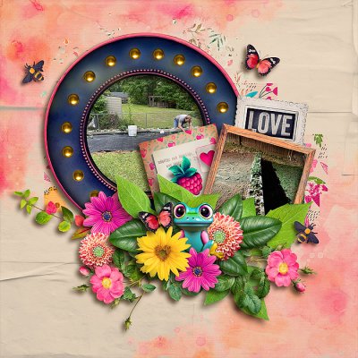 Garden 2023