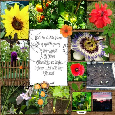 What i love about summer .....my little garden