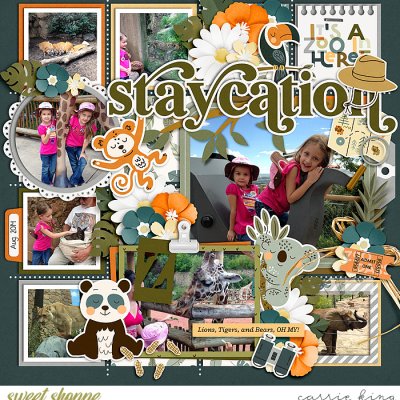 At the Zoo