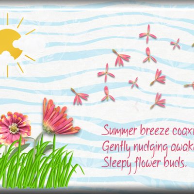ATC 2023-020 Summer Breeze