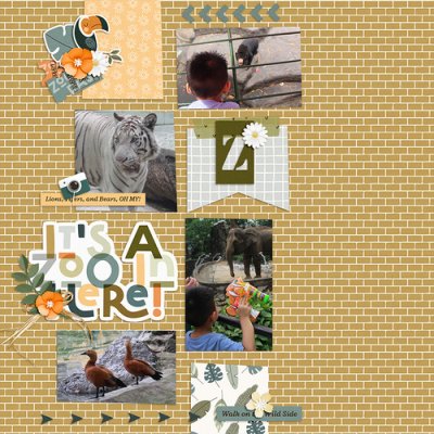 At the Zoo