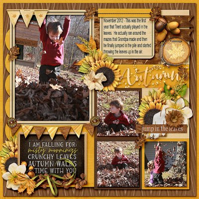 Jump in the Leaves - Trent