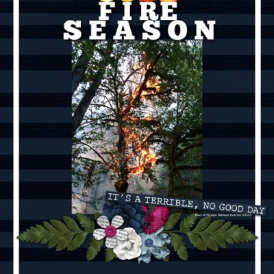FIRE SEASON