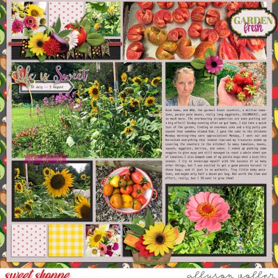 2023 Garden notes week 31 left