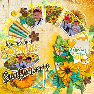 Sunflowers