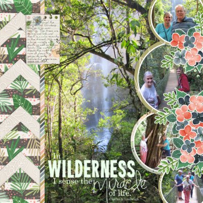 2023-05-11_Wilderness