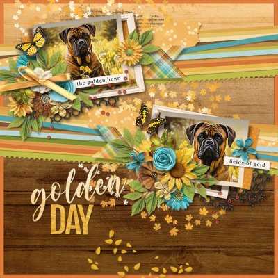 Golden Day