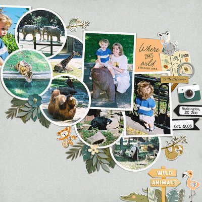 zoo