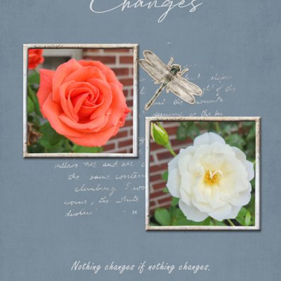Changes