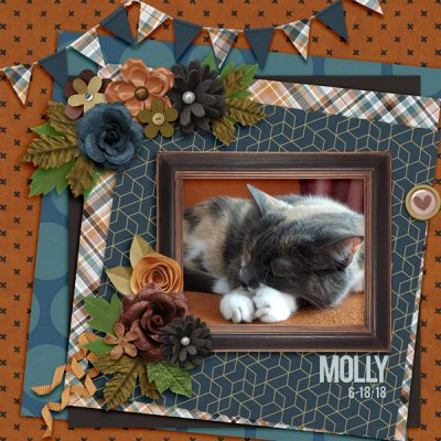 Molly-Pop 6.18.18
