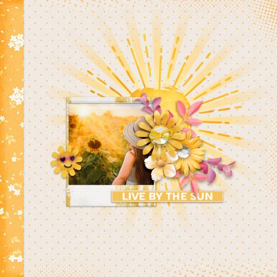 Summers.Sunrays.Sunflowers.