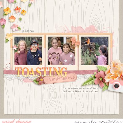 Toasting marshmellows