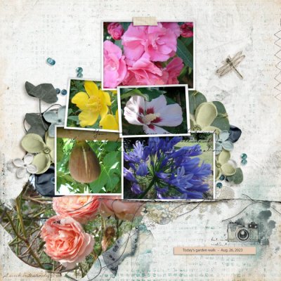 Walk in my garden